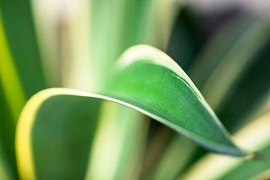 赛博风横板清关游戏《盲目命运:江户之弥》上线steam 明年第一季度发售